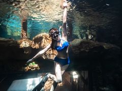 -长鹿旅游休博园