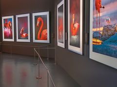 -罗红摄影艺术馆