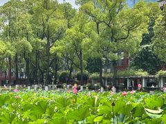 -四川大学(望江校区)