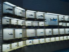 -上海中国航海博物馆