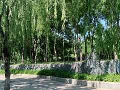 -南长河公园