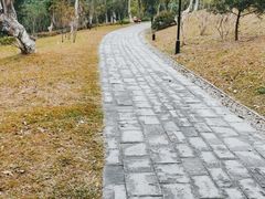 -东莞植物园