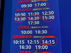 -合肥海洋世界