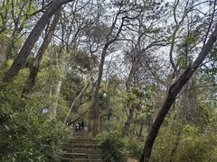 -九曜山