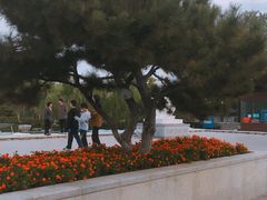 -桃花岛公园