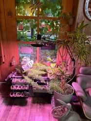 -青木造型HAIR·あおき髪を刈る潮人店