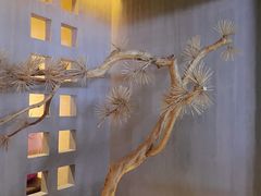 -春熙台韩国料理·章鱼肥牛(西丽店)