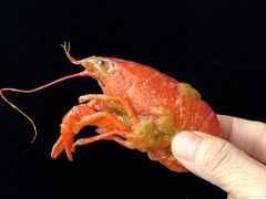 -盒马鲜生(莱蒙都会店)