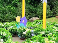 -广西壮族自治区药用植物园