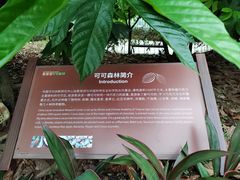 -歌斐颂巧克力小镇