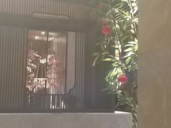 -老头儿油爆虾(星光一期店)