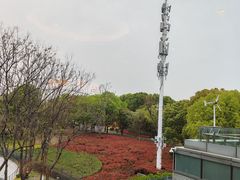 -上海小南国(世博源店)