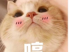 -迦南·甜品蛋糕(传媒店)