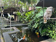 -Warung Babi Guling Ibu Oka 3