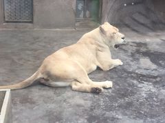 -西安秦岭野生动物园