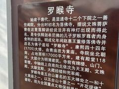 -五台山风景名胜区-罗睺寺