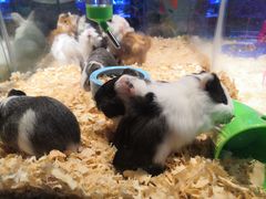 -鸿通城购物中心