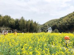 -宁波浙东大竹海景区