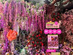 -正佳雨林生态植物园