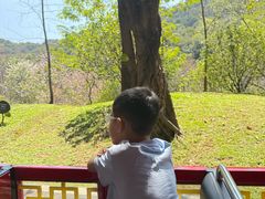 -云溪植物园