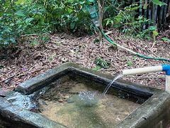 -佛山市三水区大南山森林公园