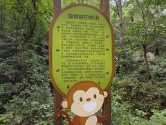 -大岭沟猕猴桃谷风景区
