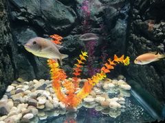 -苏州海洋馆