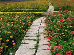 -北纬44度·金珠花海休闲农业旅游景区