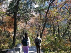 -北京上方山国家森林公园