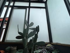 -陀岗美食·云南藏式特色餐厅