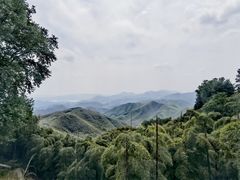 -莫干山风景区