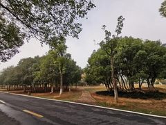 -艾溪湖湿地公园