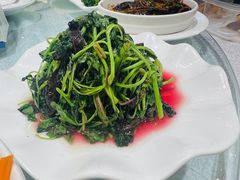 -金米箩大酒店(五角场店)