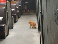 -肥仔文澳门猪骨煲(南京西路店)