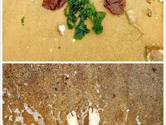 -大连圣亚海洋世界