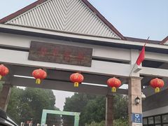 -上海都市菜园