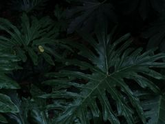 -成都市活水公园