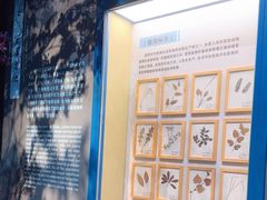 -柳州白莲洞洞穴科学博物馆