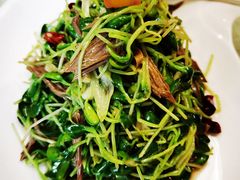 豆芽拌腐竹-香满楼(南关店)