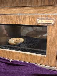 -Zoolung Zoolung动物主题公园(海信广场店)