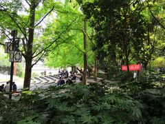 -成都市活水公园