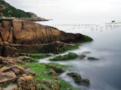 -枸杞岛