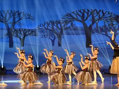 -舞蕾舞蹈(特长生校区)