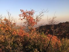 -鬼笑石后山停车场