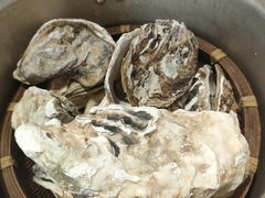 高压锅蒸鲜生蚝-辣小鲜·南昌大排档(船山路店)