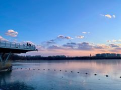 -大兴滨河森林公园