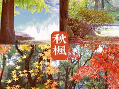 -苏州金鸡湖大酒店