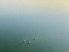 -大兴滨河森林公园