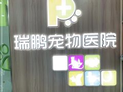 -瑞鹏宠物医院·宠保定点·心脏科·内科(御桥分院)