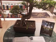 -二酉书店TOYOU BOOKS